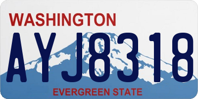 WA license plate AYJ8318