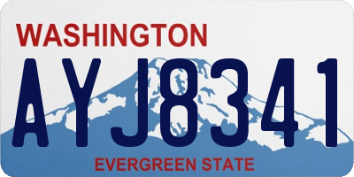 WA license plate AYJ8341