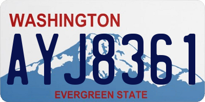 WA license plate AYJ8361