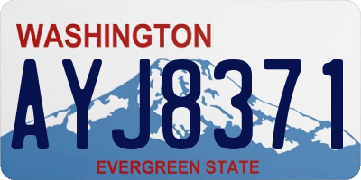 WA license plate AYJ8371