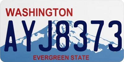 WA license plate AYJ8373