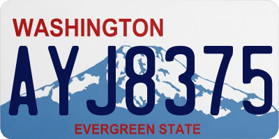 WA license plate AYJ8375