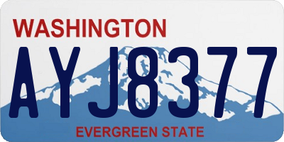 WA license plate AYJ8377
