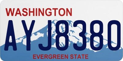 WA license plate AYJ8380