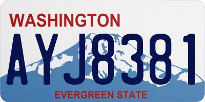 WA license plate AYJ8381