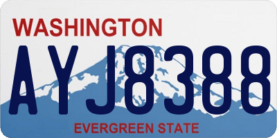 WA license plate AYJ8388