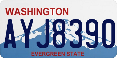 WA license plate AYJ8390