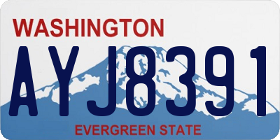 WA license plate AYJ8391