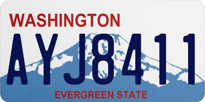 WA license plate AYJ8411