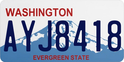 WA license plate AYJ8418