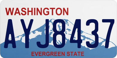 WA license plate AYJ8437