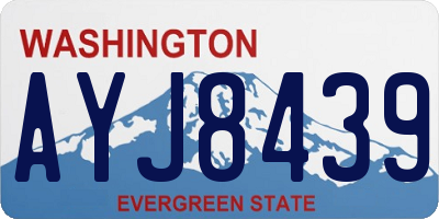 WA license plate AYJ8439