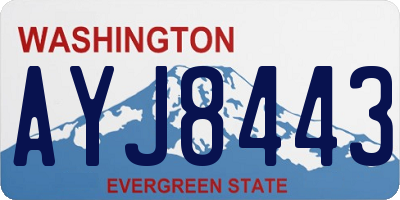 WA license plate AYJ8443