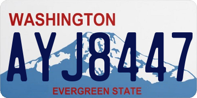 WA license plate AYJ8447