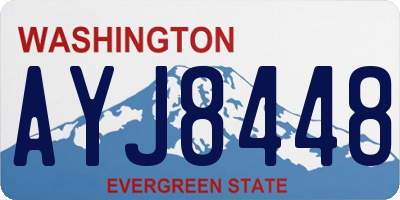 WA license plate AYJ8448