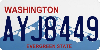 WA license plate AYJ8449
