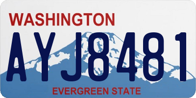 WA license plate AYJ8481