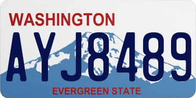 WA license plate AYJ8489