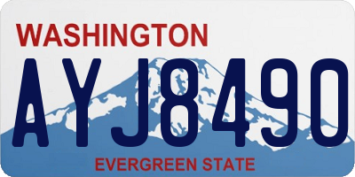 WA license plate AYJ8490