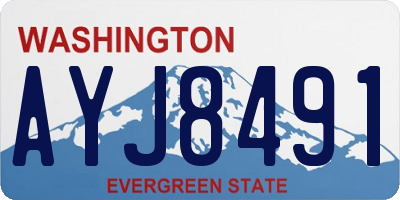 WA license plate AYJ8491