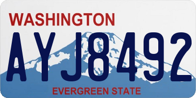 WA license plate AYJ8492