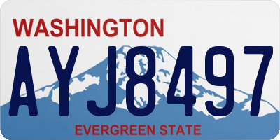 WA license plate AYJ8497