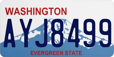WA license plate AYJ8499