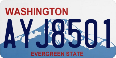 WA license plate AYJ8501