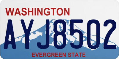WA license plate AYJ8502