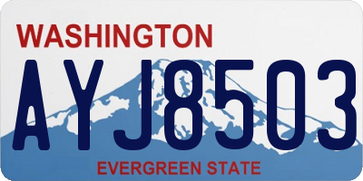 WA license plate AYJ8503