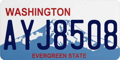 WA license plate AYJ8508