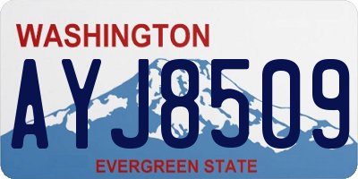 WA license plate AYJ8509