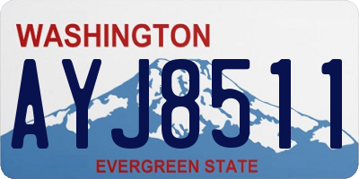 WA license plate AYJ8511