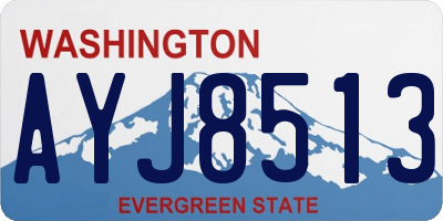 WA license plate AYJ8513