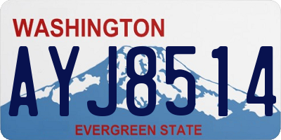 WA license plate AYJ8514
