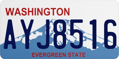 WA license plate AYJ8516