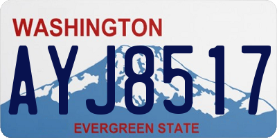 WA license plate AYJ8517