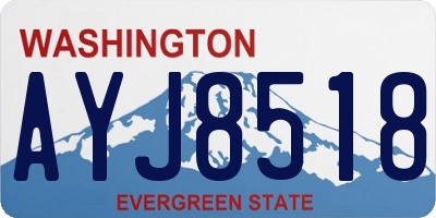 WA license plate AYJ8518