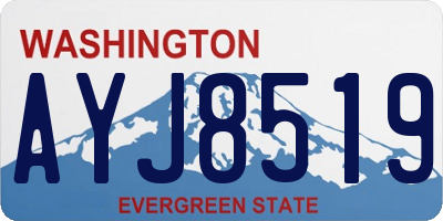 WA license plate AYJ8519