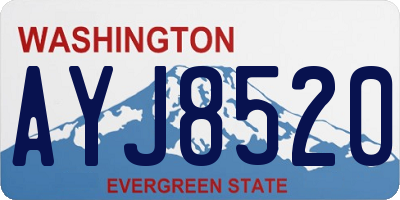 WA license plate AYJ8520