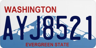 WA license plate AYJ8521