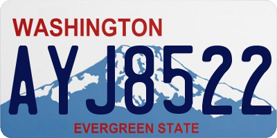 WA license plate AYJ8522