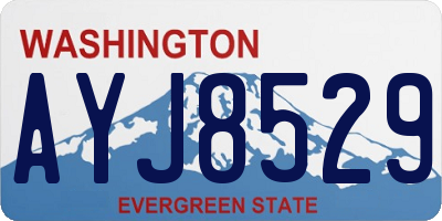 WA license plate AYJ8529
