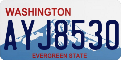 WA license plate AYJ8530