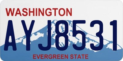 WA license plate AYJ8531