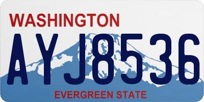 WA license plate AYJ8536