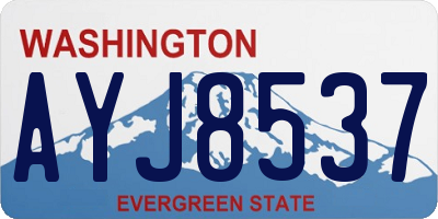 WA license plate AYJ8537