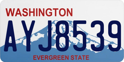 WA license plate AYJ8539
