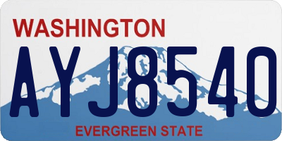 WA license plate AYJ8540