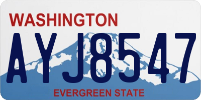 WA license plate AYJ8547